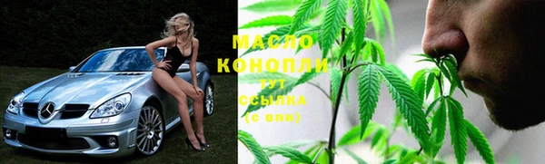 индика Сафоново