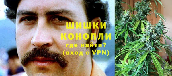 прущая мука Пересвет