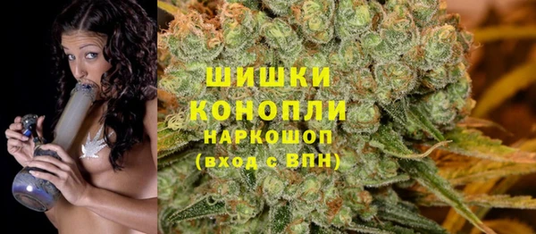 прущая мука Пересвет