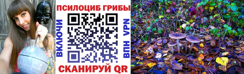 дарк нет как зайти  Семикаракорск  Галлюциногенные грибы Psilocybe  OMG ТОР 