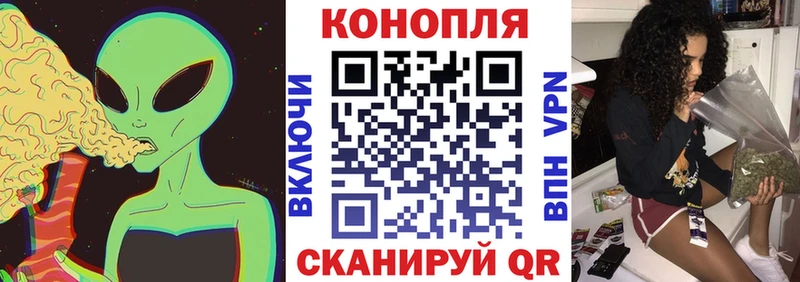 Шишки марихуана планчик Семикаракорск